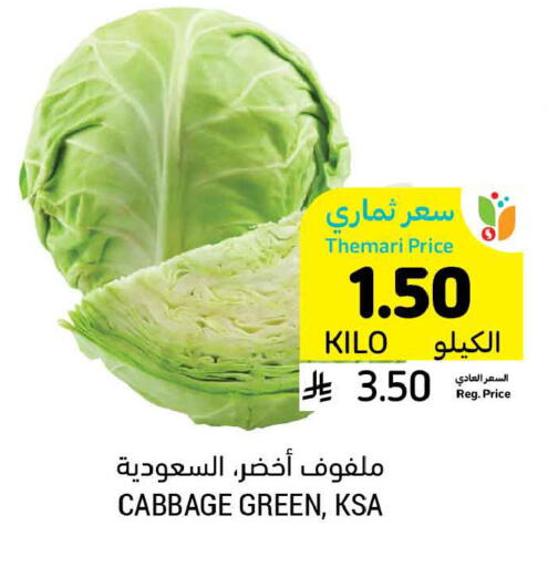 Cabbage available at أسواق التميمي in مملكة العربية السعودية, السعودية, سعودية - حفر الباطن