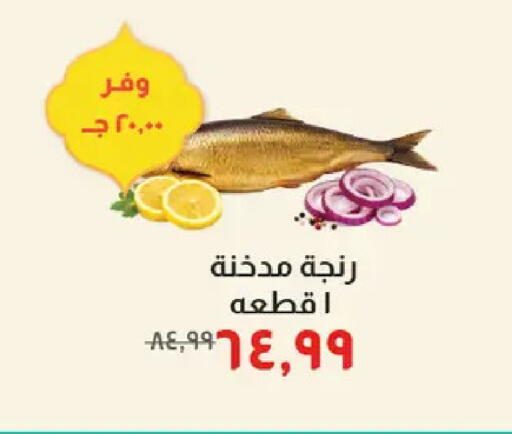 available at Kheir Zaman  in Egypt - Cairo