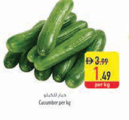 Cucumber available at Safeer Market in UAE - Abu Dhabi