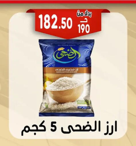 available at Bondok Market  in Egypt - Cairo