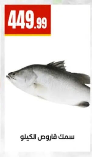 available at El Mahlawy Stores in Egypt - Cairo