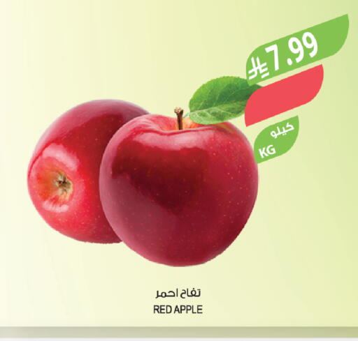 Apple available at المزرعة in مملكة العربية السعودية, السعودية, سعودية - عرعر