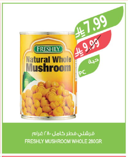 Mushroom available at Farm  in KSA, Saudi Arabia, Saudi - Qatif