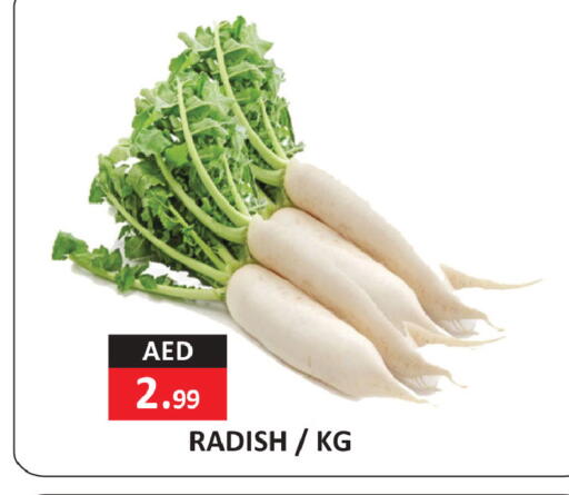 Radish available at ريفييرا سوبرماركت in الإمارات العربية المتحدة , الامارات - أبو ظبي