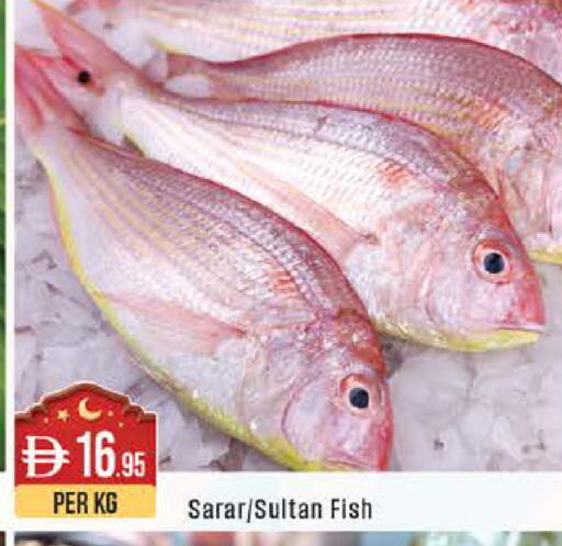 available at ويست زون سوبرماركت in الإمارات العربية المتحدة , الامارات - أبو ظبي