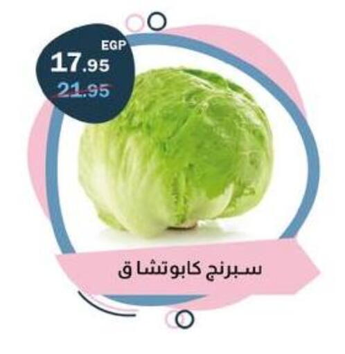 available at فلامنجو هايبرماركت in Egypt - القاهرة