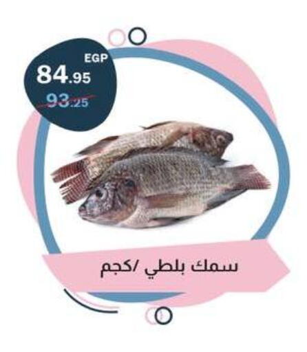 available at Flamingo Hyper Market in Egypt - Cairo