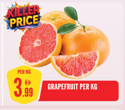 available at Dream Land in UAE - Sharjah / Ajman