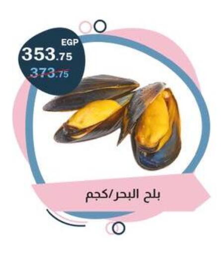 available at فلامنجو هايبرماركت in Egypt - القاهرة