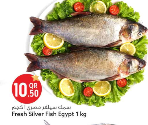 available at Safari Hypermarket in Qatar - Al Rayyan