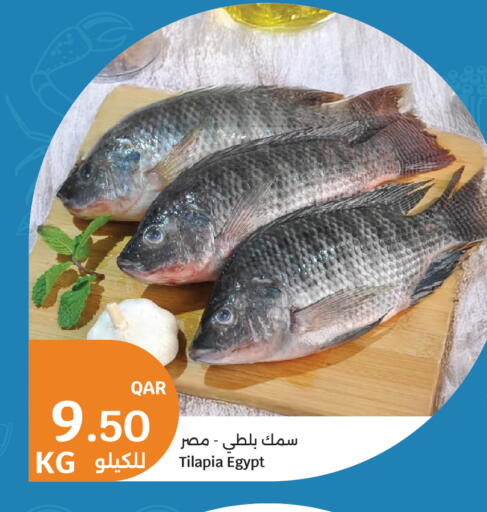 available at سيتي هايبرماركت in قطر - الخور