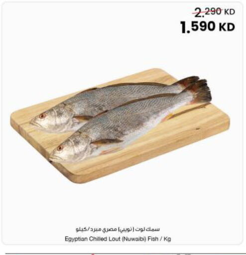 available at The Sultan Center in Kuwait - Ahmadi Governorate