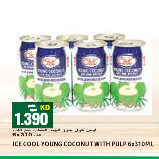 Coconut available at Sabsah Hypermarket in Kuwait - Ahmadi Governorate