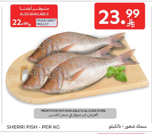 available at كارفور in مملكة العربية السعودية, السعودية, سعودية - جدة