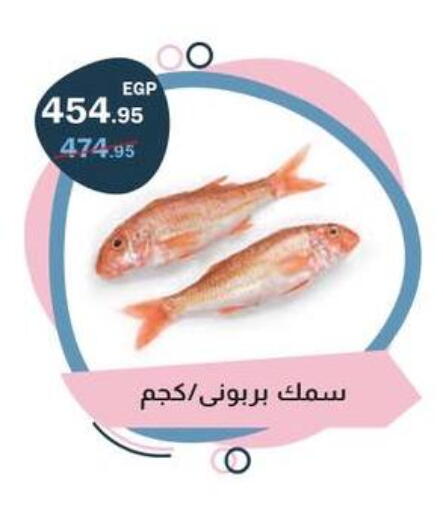 available at Flamingo Hyper Market in Egypt - Cairo