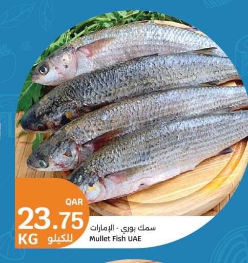 available at City Hypermarket in Qatar - Al Rayyan