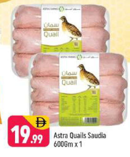 available at Shaklan  in UAE - Dubai