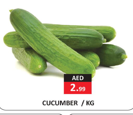 Cucumber available at ريفييرا سوبرماركت in الإمارات العربية المتحدة , الامارات - أبو ظبي