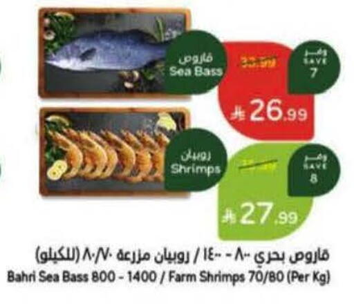 available at هايبر بنده in مملكة العربية السعودية, السعودية, سعودية - القطيف‎