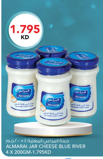 available at  ALNASSER HYPERMARKET in Kuwait - Ahmadi Governorate