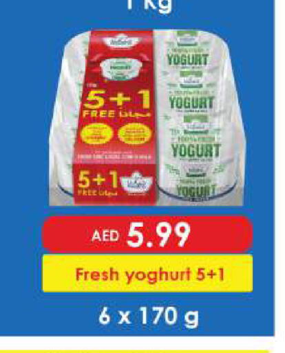 available at بيج مارت in الإمارات العربية المتحدة , الامارات - أبو ظبي