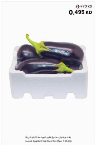 Eggplant from Kuwait available at The Sultan Center in Kuwait - Ahmadi Governorate