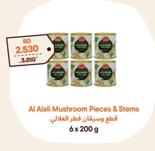 Mushroom available at Talabat Mart in Bahrain