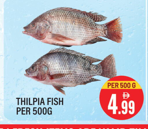 available at Dream Land in UAE - Sharjah / Ajman