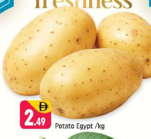 Potato from Egypt available at Shaklan  in UAE - Dubai