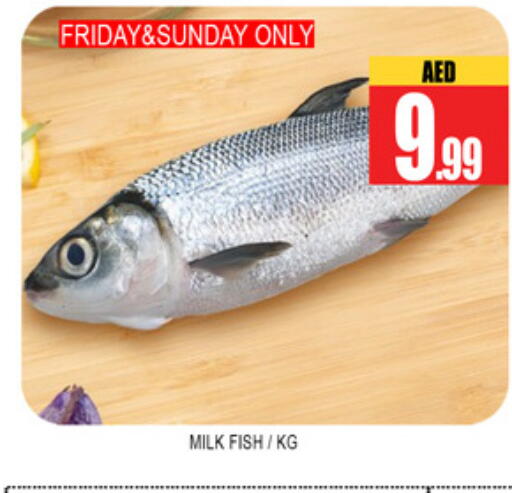 available at لكي سنتر in الإمارات العربية المتحدة , الامارات - الشارقة / عجمان