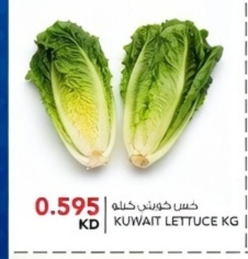 Lettuce from Kuwait available at  ALNASSER HYPERMARKET in Kuwait - Ahmadi Governorate