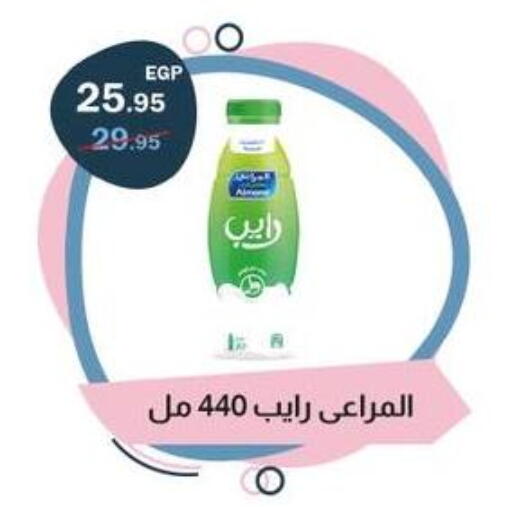 available at Flamingo Hyper Market in Egypt - Cairo