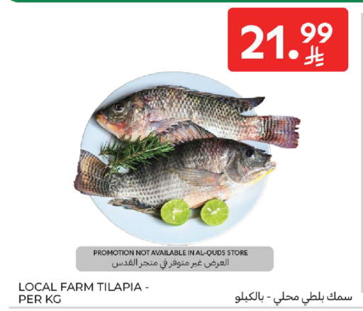 available at كارفور in مملكة العربية السعودية, السعودية, سعودية - جدة