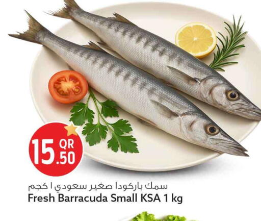 available at Safari Hypermarket in Qatar - Al Rayyan