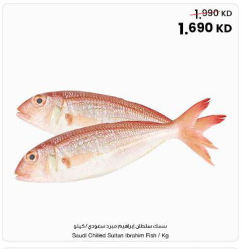 available at The Sultan Center in Kuwait - Ahmadi Governorate