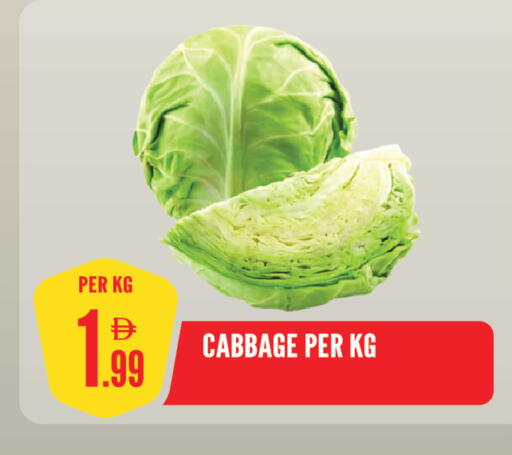 Cabbage available at Dream Land in UAE - Sharjah / Ajman