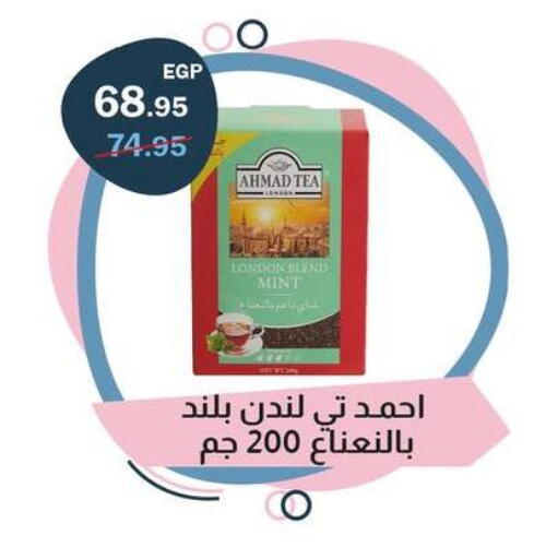 Mint available at فلامنجو هايبرماركت in Egypt - القاهرة