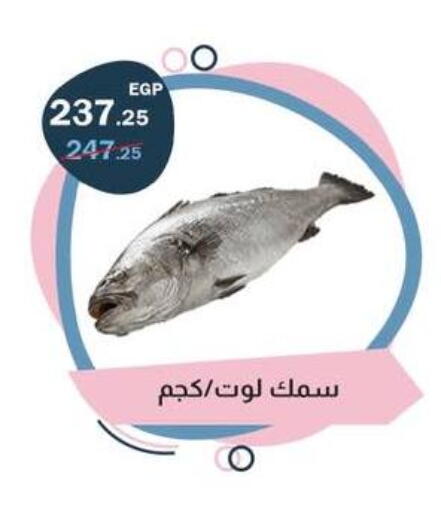 available at Flamingo Hyper Market in Egypt - Cairo