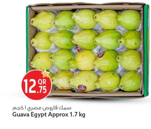Guava from Egypt available at سفاري هايبر ماركت in قطر - الدوحة
