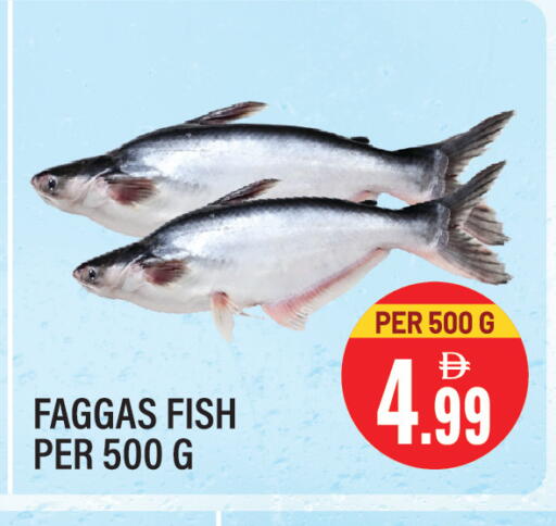 available at Dream Land in UAE - Sharjah / Ajman