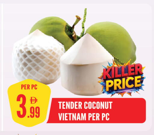 Coconut from Vietnam available at Dream Land in UAE - Sharjah / Ajman