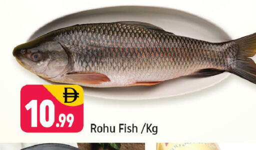 available at Shaklan  in UAE - Dubai