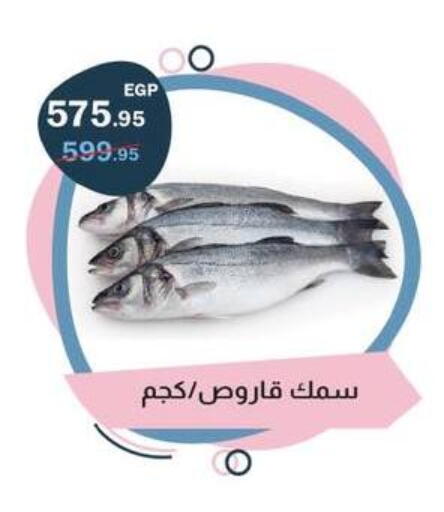 available at Flamingo Hyper Market in Egypt - Cairo