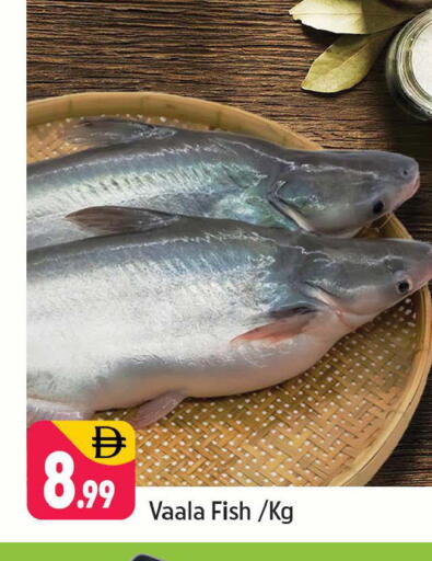 available at Shaklan  in UAE - Dubai