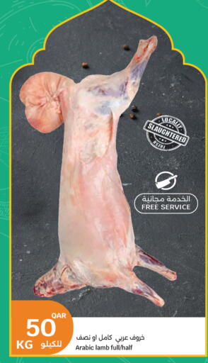 available at سيتي هايبرماركت in قطر - الدوحة