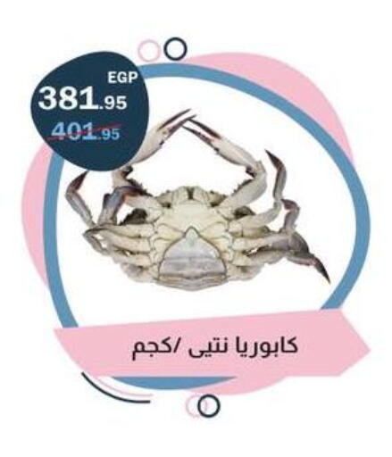 available at فلامنجو هايبرماركت in Egypt - القاهرة