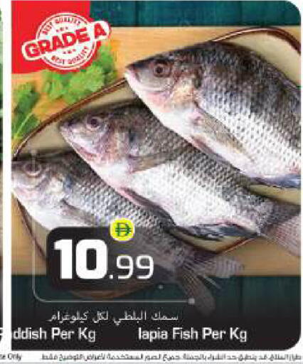 available at بيج مارت in الإمارات العربية المتحدة , الامارات - أبو ظبي