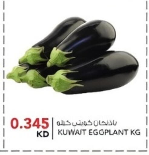 Eggplant from Kuwait available at  ALNASSER HYPERMARKET in Kuwait - Ahmadi Governorate