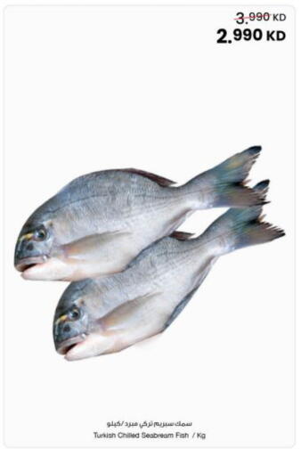 available at The Sultan Center in Kuwait - Ahmadi Governorate