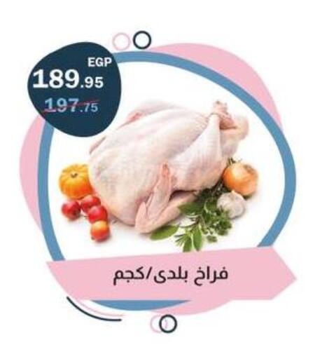 available at فلامنجو هايبرماركت in Egypt - القاهرة